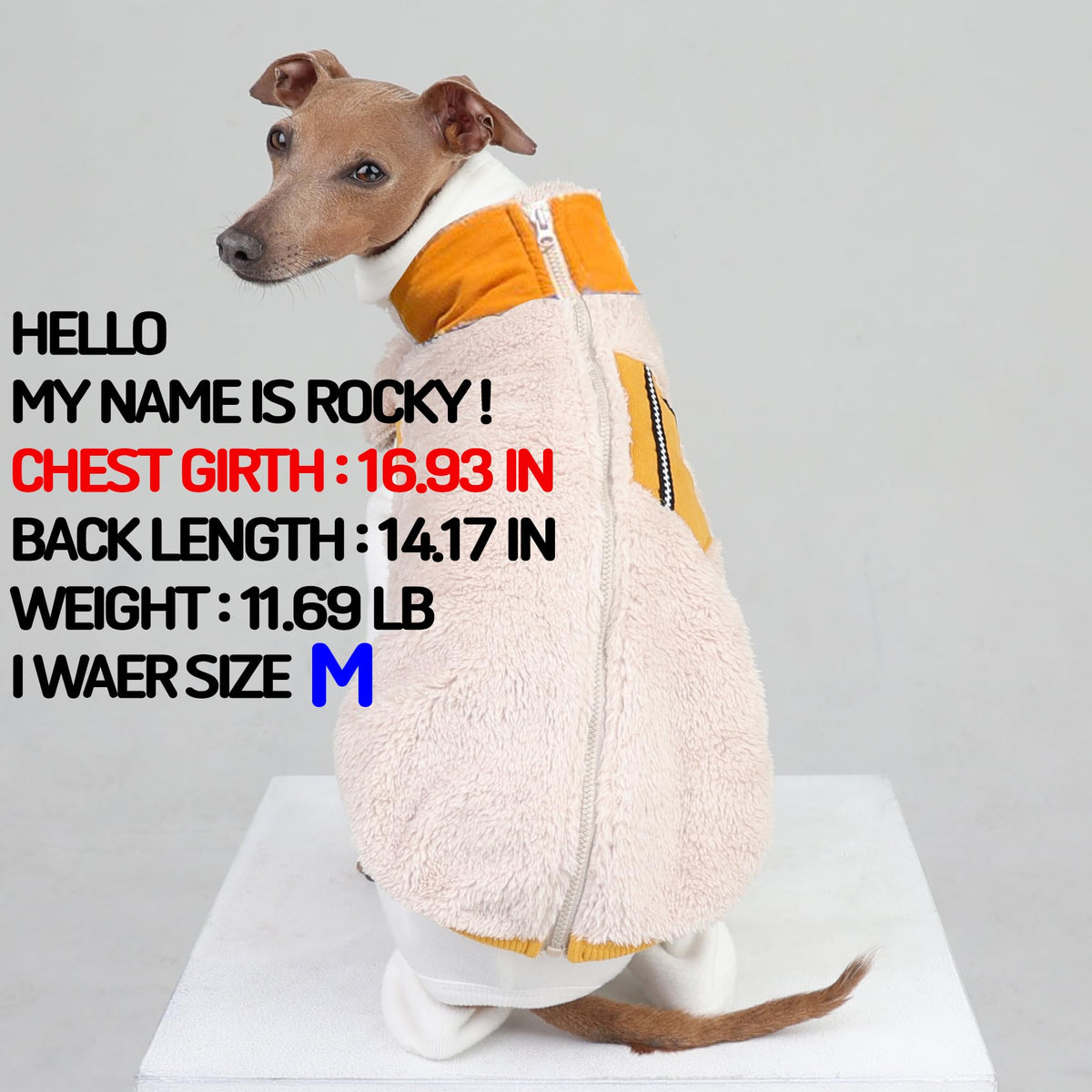 D Doggy Star Italian Greyhound Warm Fleece Zip (XL / Zipup Mustard)