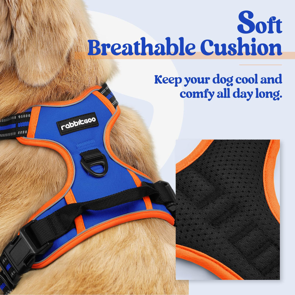 Dog Harness No Pull for Small Dogs with 2 Leash Clips (Small / Blue & Orange)
