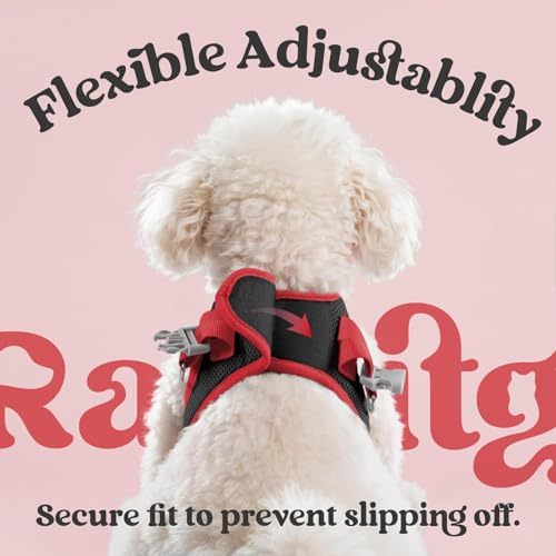 Dog Harness Small Sized and Leash Set (Black & Red / S (Chest: 15.1"-16.5"))