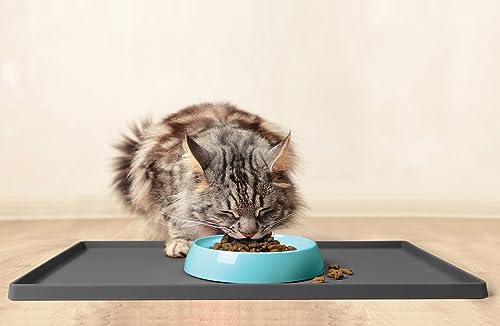 Cat Bowls Original Whisker (Dish / Aruba)