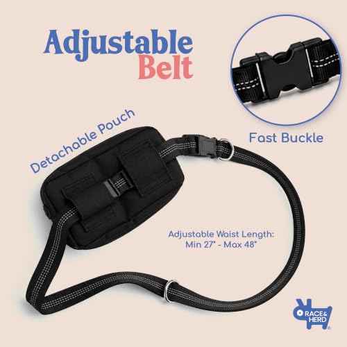 Dog Running Leash Hands Free (Onyx)
