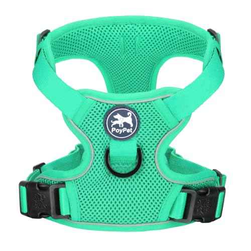 Mesh Dog Harness (XL / Mint Green)
