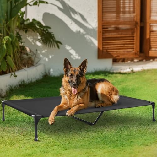 Cooling Elevated Dog Bed (49.0"L x 33.0"W x 9.0"Th / Black)