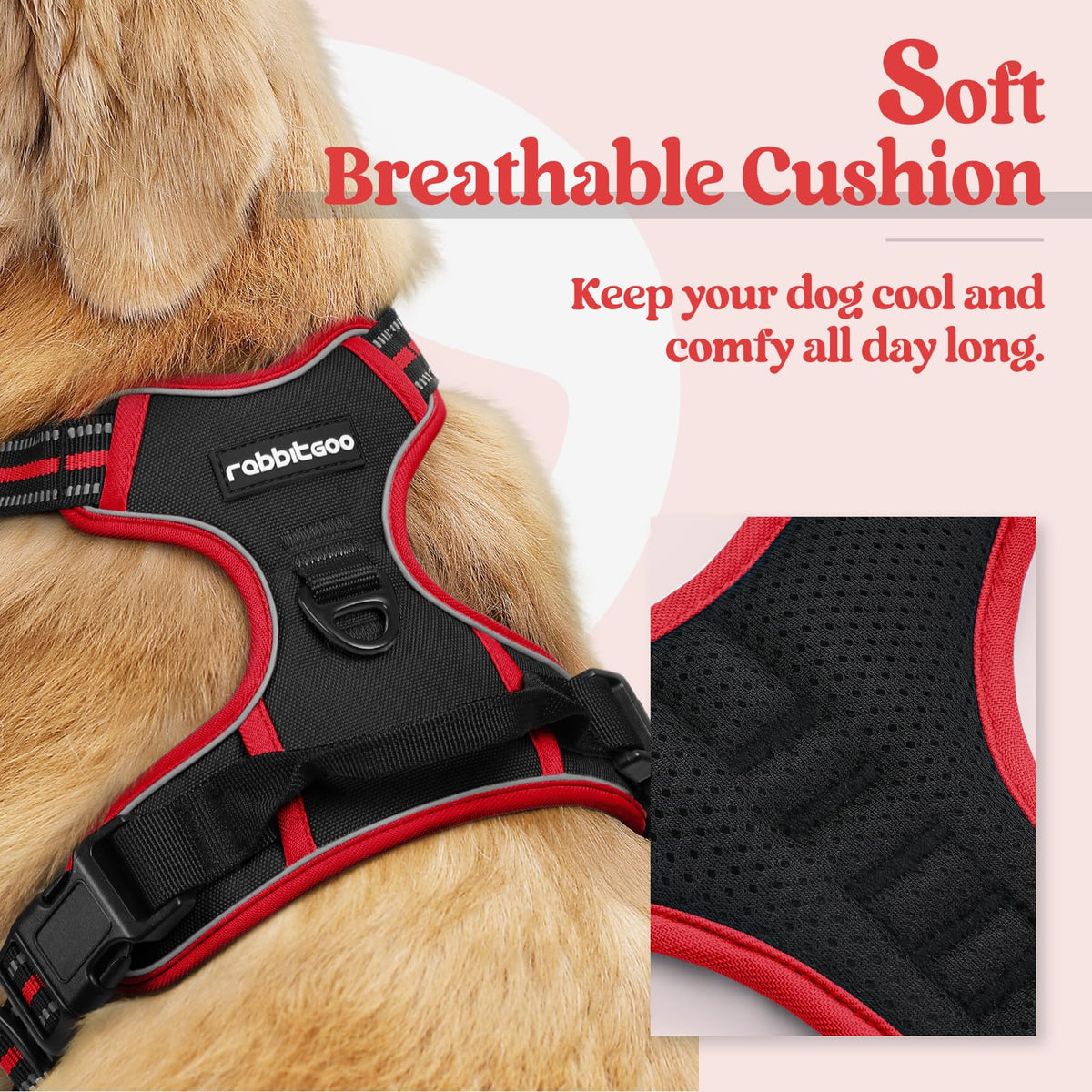 Dog Harness No Pull for Small Dogs with 2 Leash Clips (Small / Black & Red)
