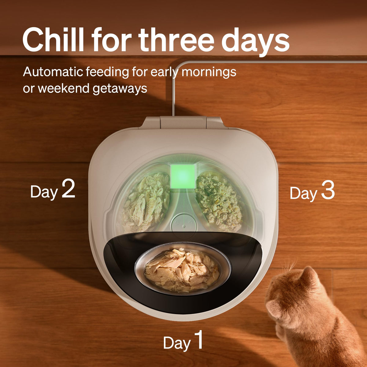 Automatic Wet Cat Feeder with Refrigeration 2026 New Verision (White / Feeder)