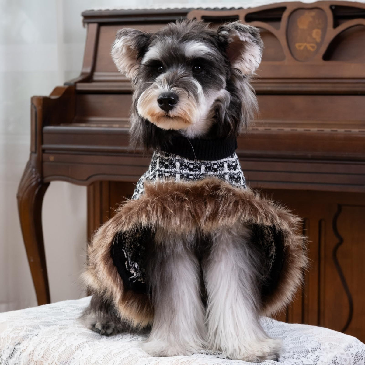 Dog Sweater Cloak (Black / Small(Back Length 10"))