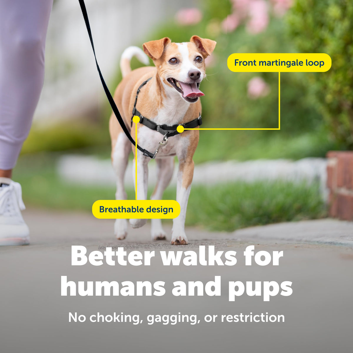 Easy Walk Harness for Dogs (Small / Royal Blue/Navy Blue)
