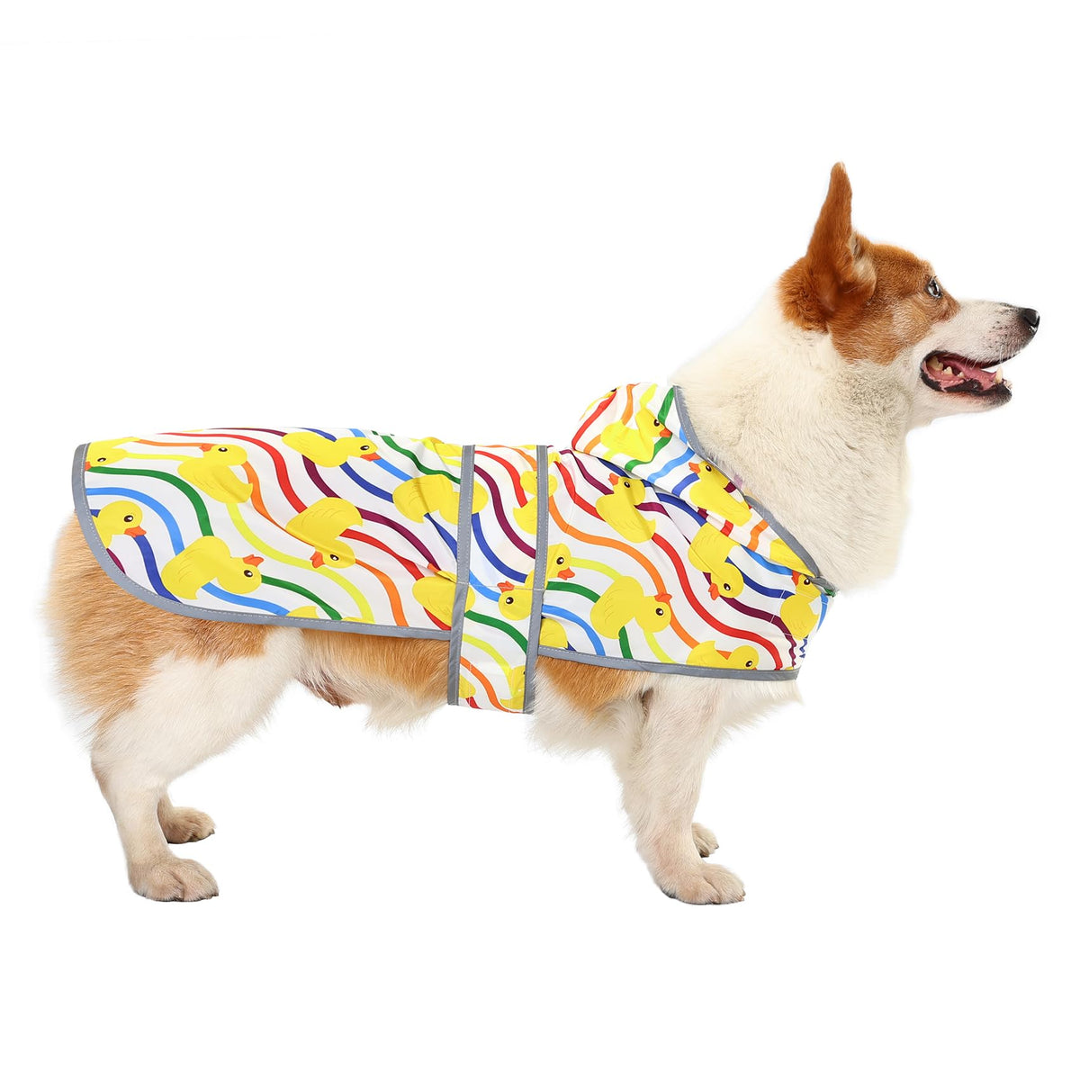 Dog Raincoat for Large Dogs (Rainbow Ducks / Large)