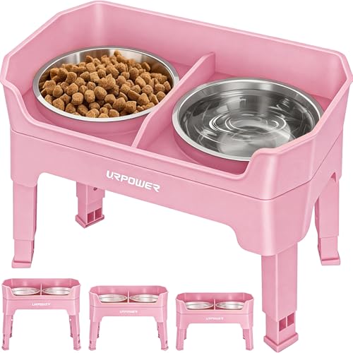 Elevated Dog Bowls