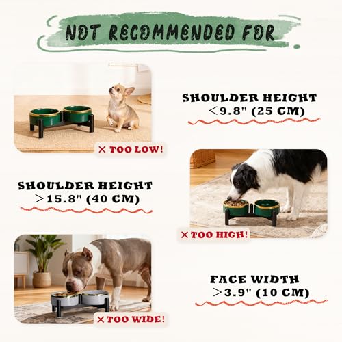 Ceramic Elevated Dog Bowl Set (Grey / 1.6 Cups)