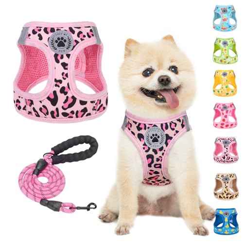 Small Dog Harness and Leash Set (XSmall(Chest Girth 13" - 14.5") / Leopard Pink)