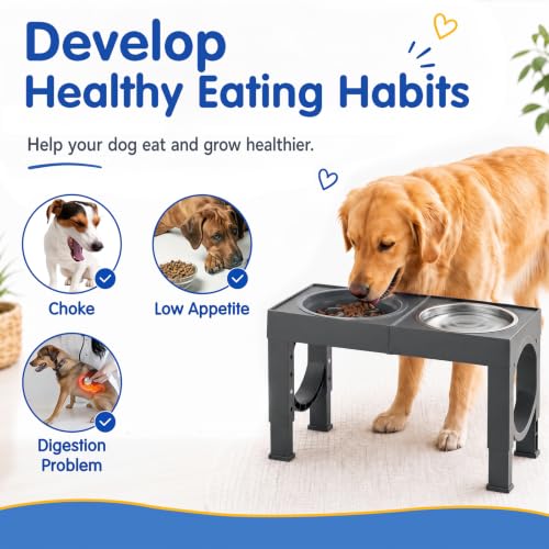 Elevated Dog Bowls Large Breed Raised Dogs Bowl Stand Large (D-Grey)