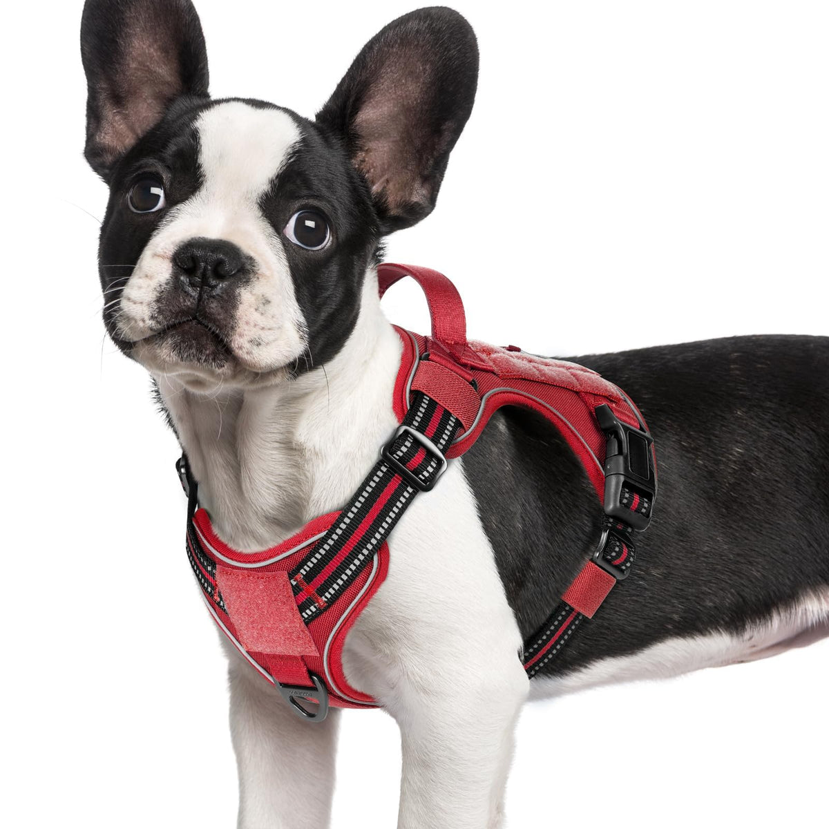 Tactical Dog Harness for Small Dogs (S(Chest:16.1"-31.5",Neck:15.4"-21.6",Back:7.1") / Red)