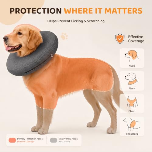 Inflatable Dog Cone After Surgery (Grey / XL(21"-24"))