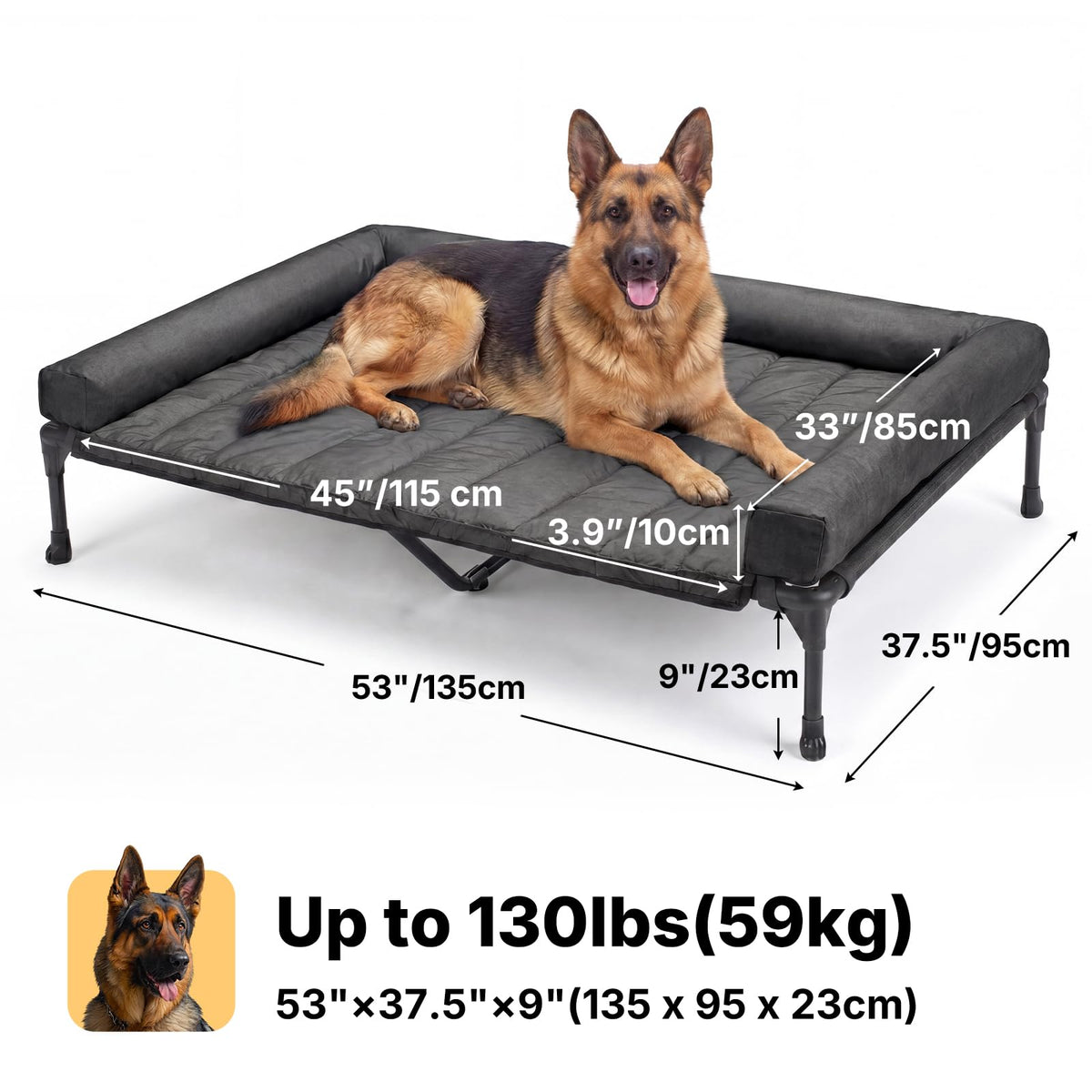 Outdoor Elevated Dog Bed with Waterproof Bolster Cushion (Black / 53.0"L x 37.5"W x 9.0"Th)