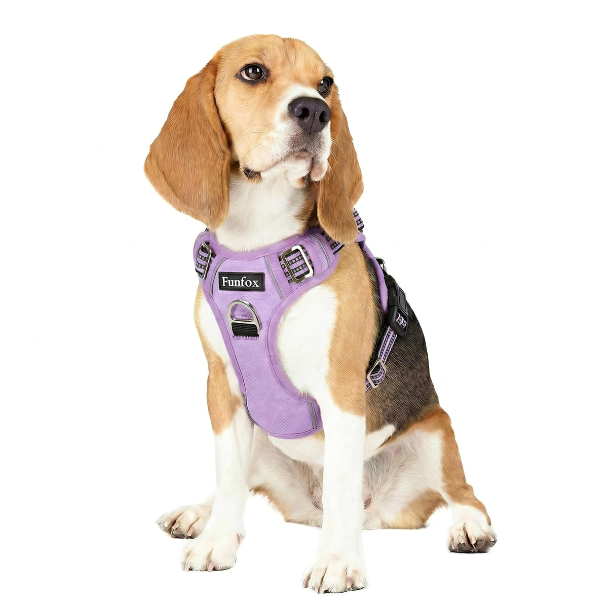Dog Harness Medium Sized Dog (Purple / Medium)