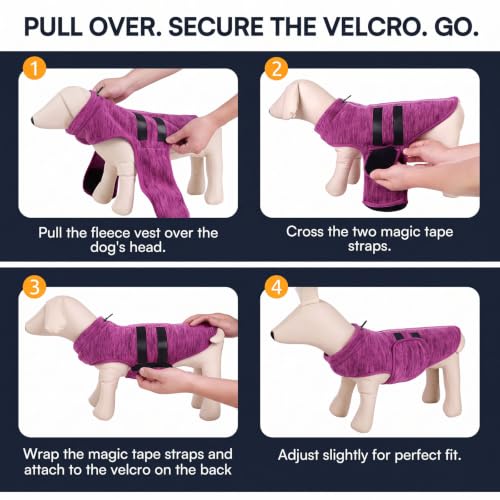 Dog Sweaters for Medium Dogs (Cationic Berry / Medium)