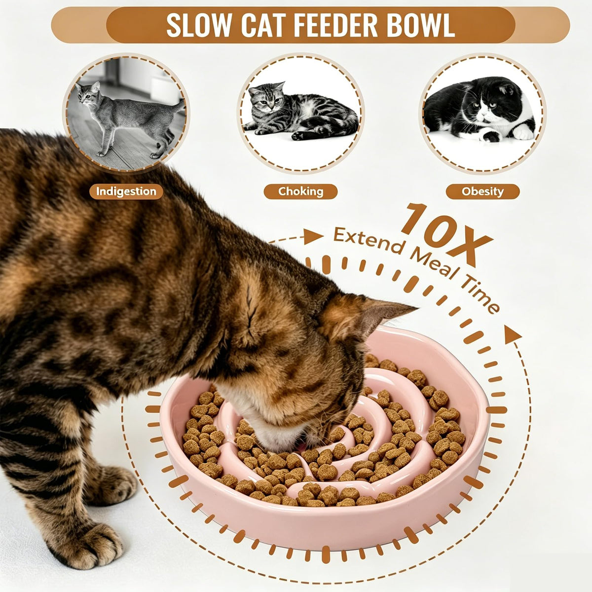 Slow Feeder Cat Bowl Set of 2 (Pink)