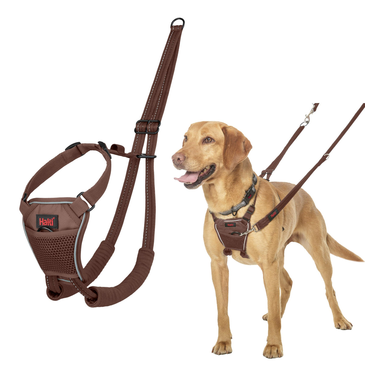No Pull Dog Harness (Deep Walnut / M)