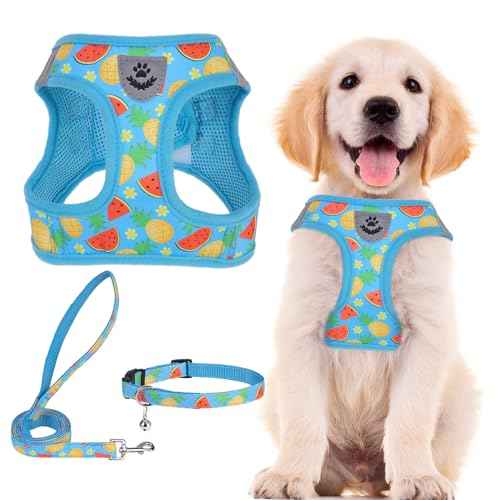 Dog Harness Collar and Leash Set No Pull for Small Medium Sized (Sky Blue / S (CHEST 14.5"-16"))