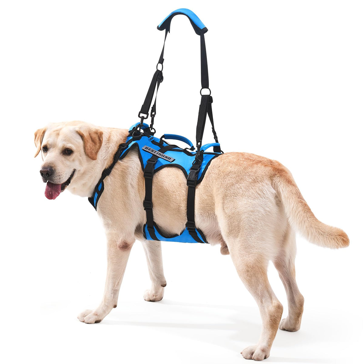 Dog Lift Harness for Large Dogs (Blue / X-Large)