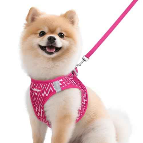 Dog Harness Small Sized and Leash Set (Rose Red Wave / M (Chest: 16.0"-18.5"))