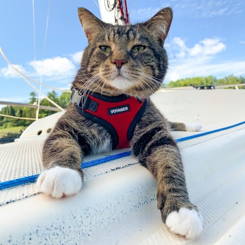 Voyager Step in Lock Cat Harness & Leash Set (Red/Black Trim / XS (Chest: 13 - 16"))