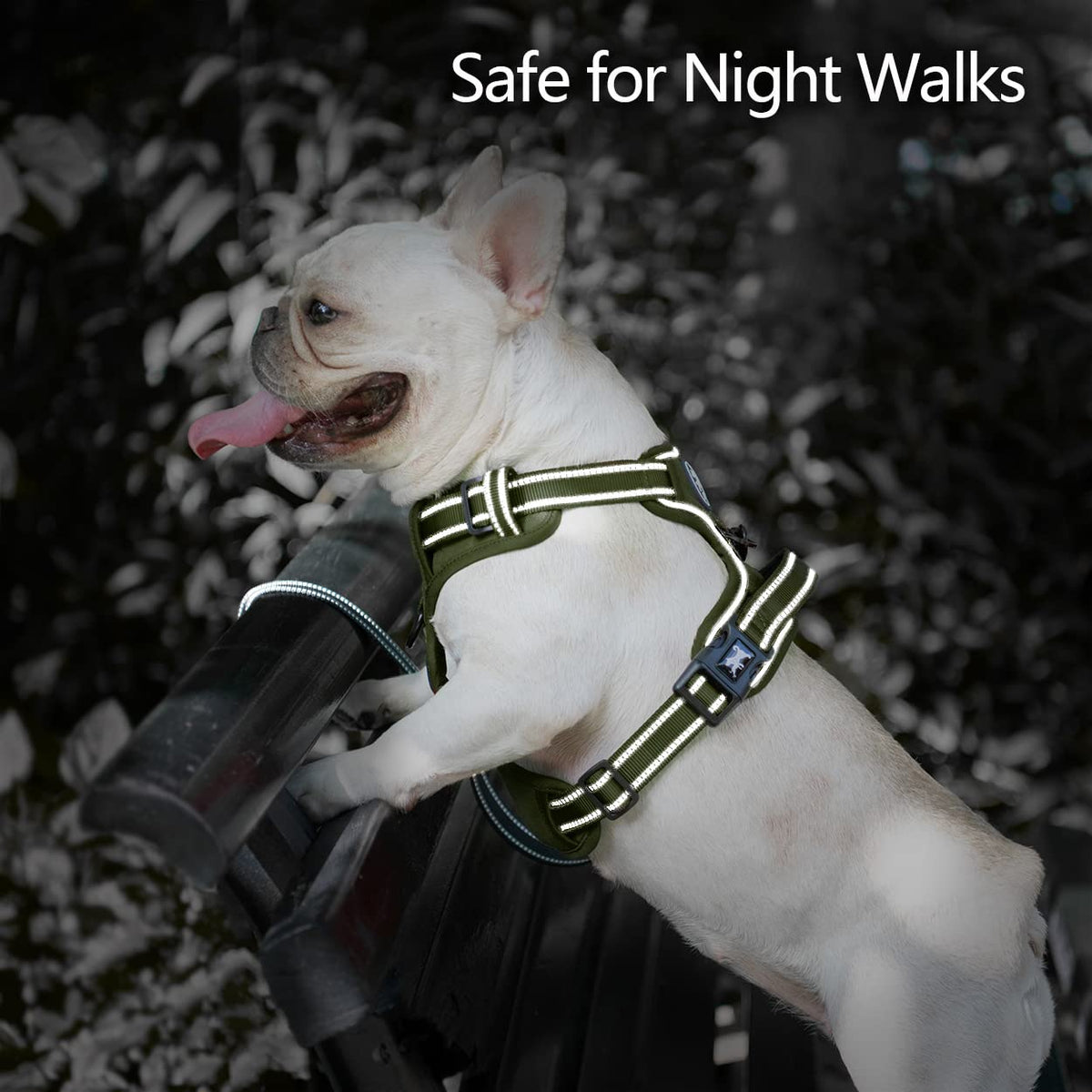 No Pull Dog Harness (Medium / Military Green)