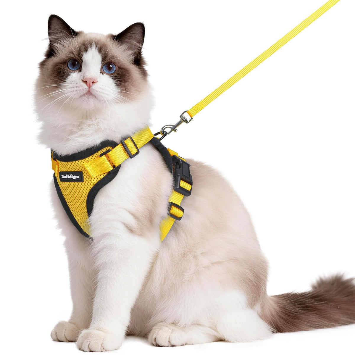 Cat Harness and Leash Set (M / Yellow)