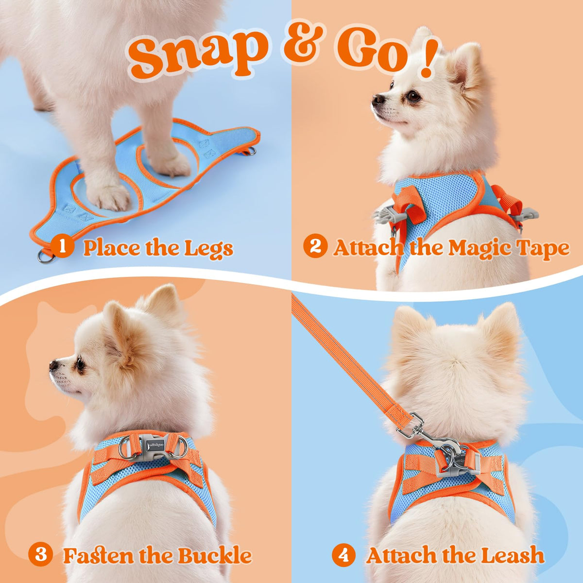 Dog Harness Small Sized and Leash Set (Blue & Orange / S (Chest: 15.1"-16.5"))