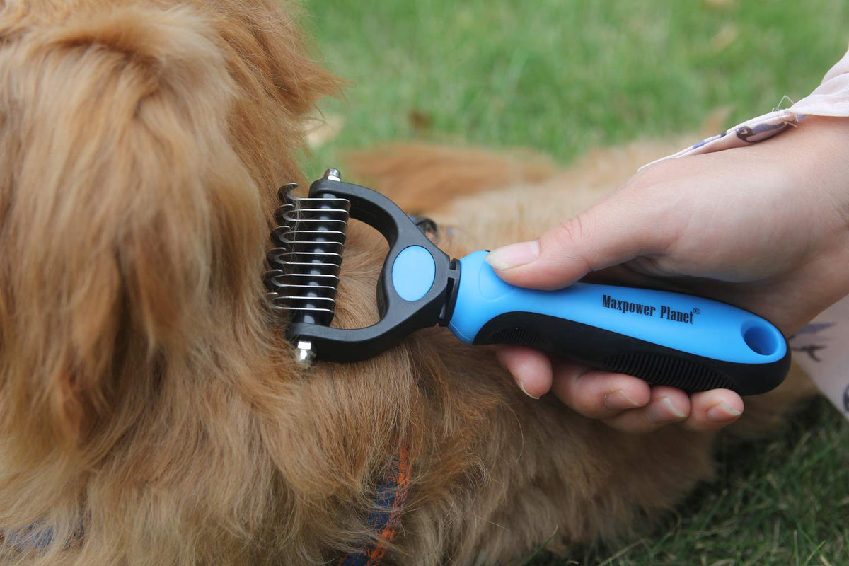 Pet Grooming Brush (Blue / Small)