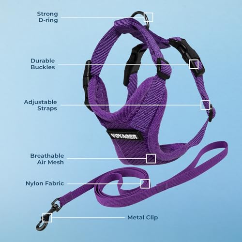 Voyager Step in Lock Cat Harness & Leash Set (Purple / XXS (Chest: 11.5 - 14"))