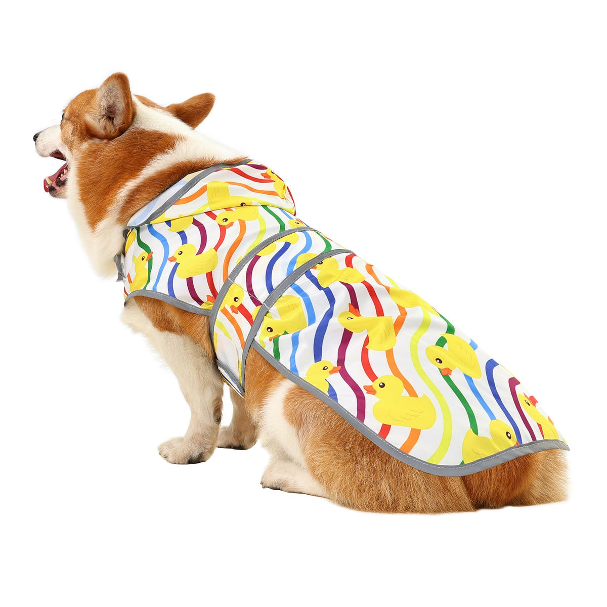 Dog Raincoat for Large Dogs (Rainbow Ducks / Large)