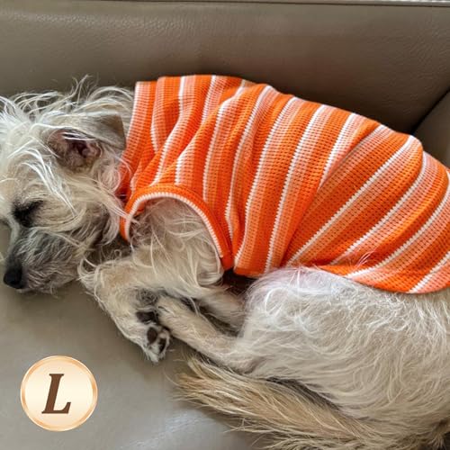 2Pack Waffle Dog Shirt for Small Dogs Striped Dog Sweater Tank Top (Large (12-18lbs) / 2Pack(orange+Striped))