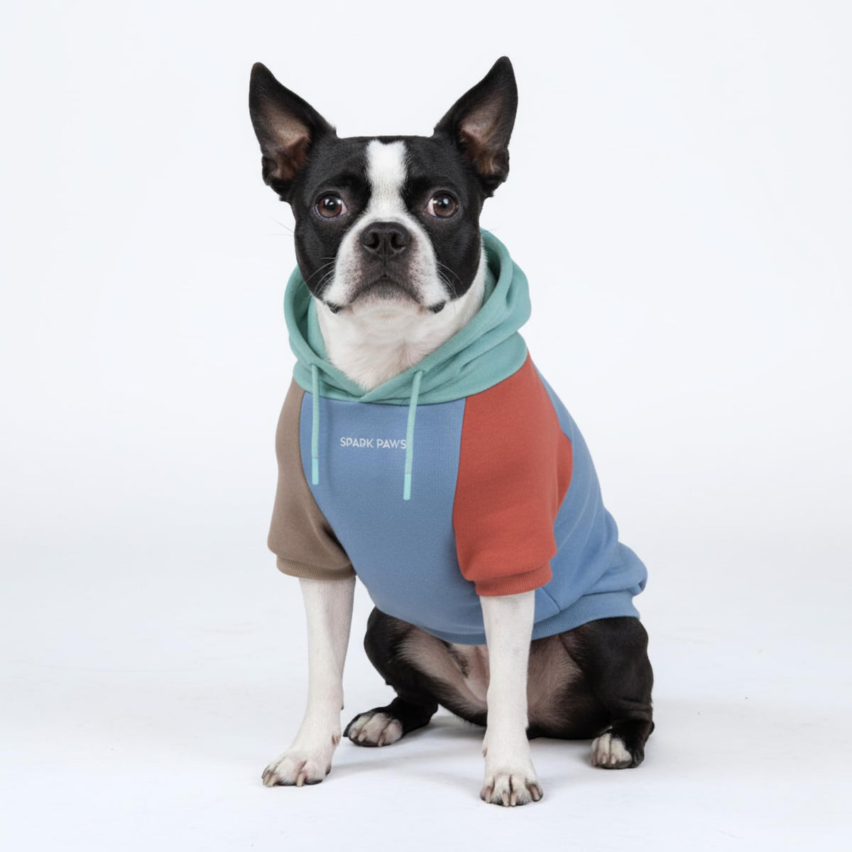 Dog Hoodie Buttery (Alpine / Medium)