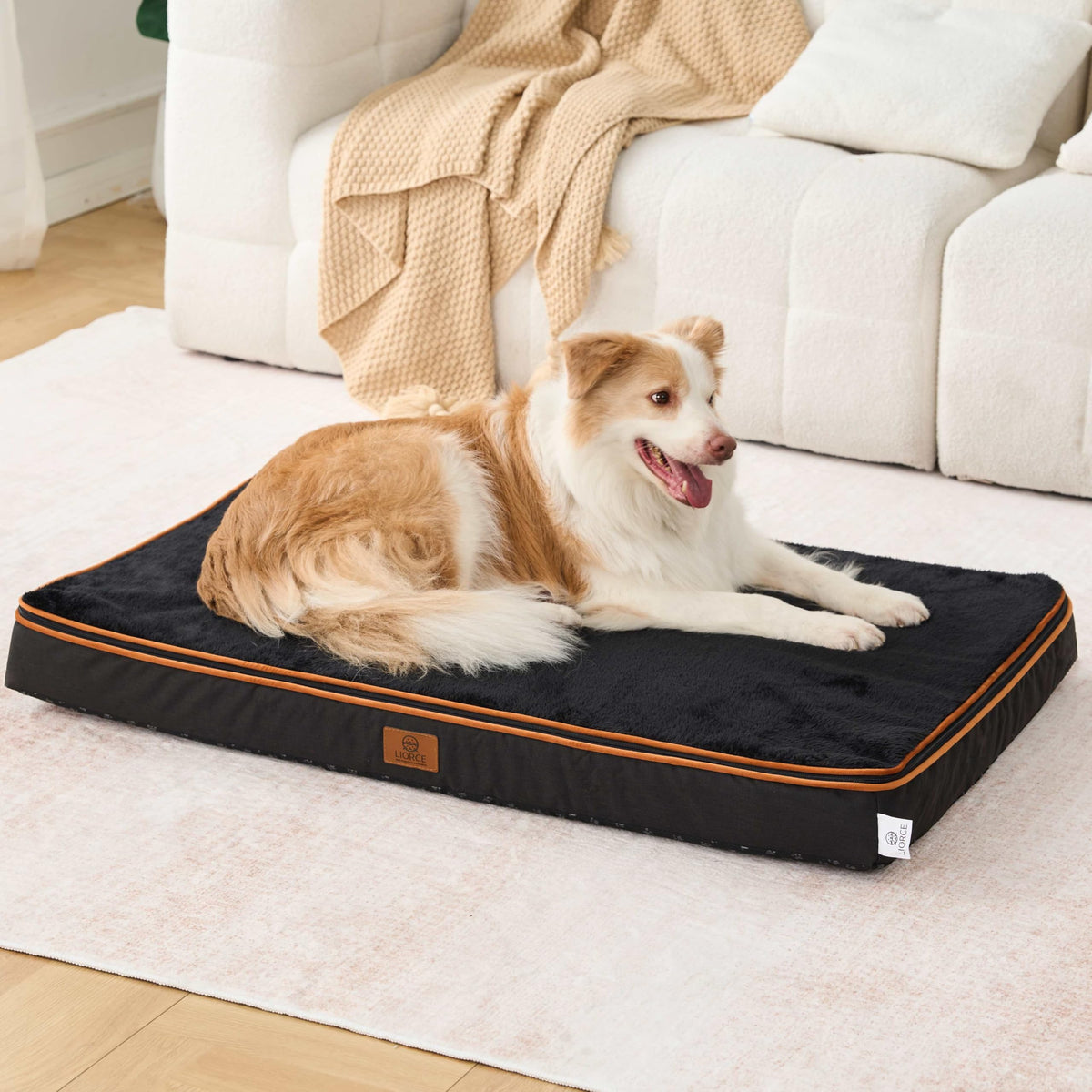 Memory Foam XL Dog Bed (41.0"L x 27.0"W x 4.0"Th / Space Black)