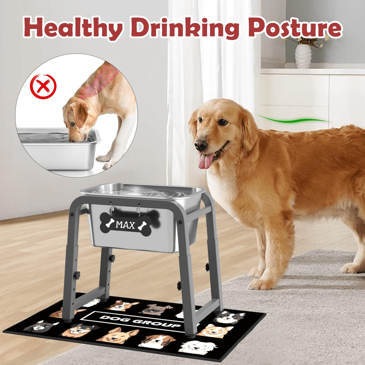 2.8 Gallon Elevated Dog Water Bowl (Grey-2.8 GAL / Height: 10.4-15.2")