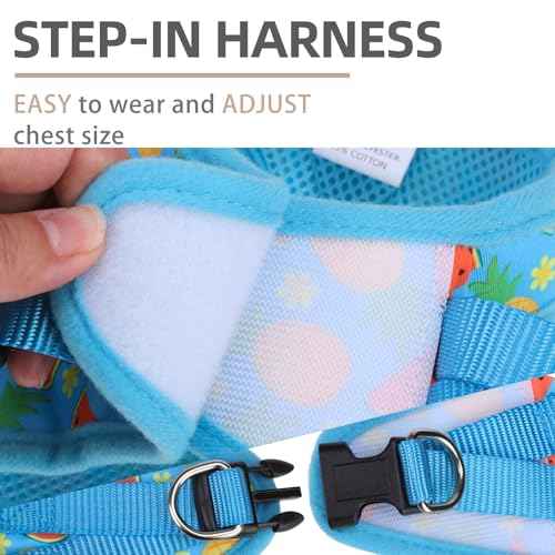 Dog Harness Collar and Leash Set No Pull for Small Medium Sized (Sky Blue / S (CHEST 14.5"-16"))