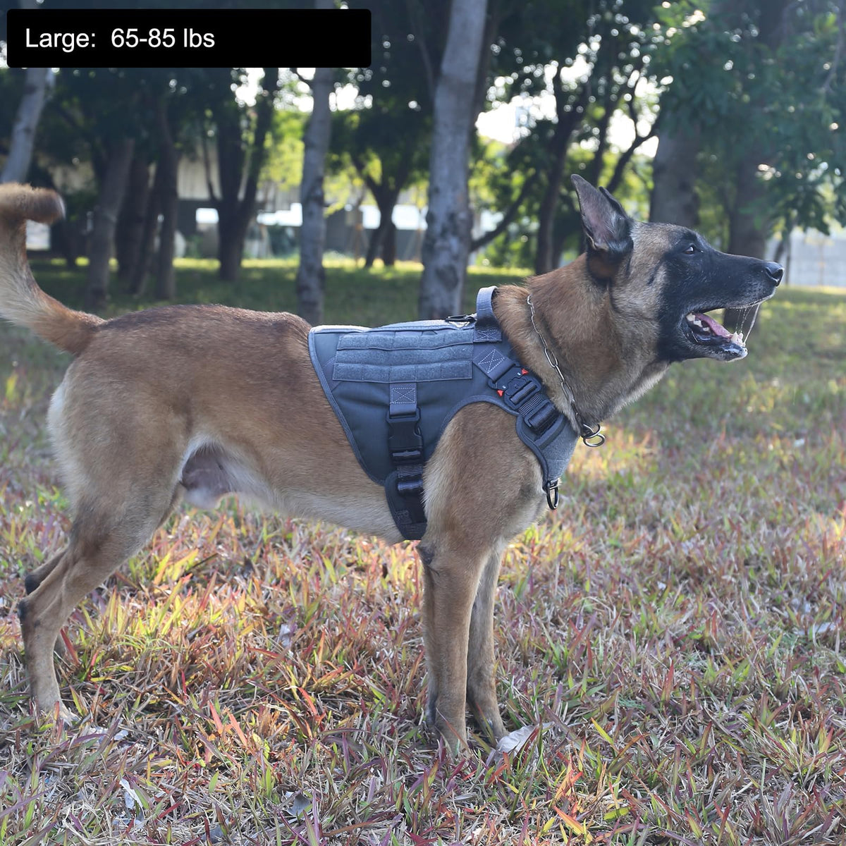 Tactical Dog Harness for Large Dogs (Large (Pack of 1) / Grey)