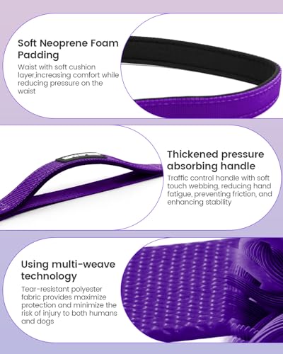 Hands Free Dog Leash (Purple / Large-5.9-9.5ft)