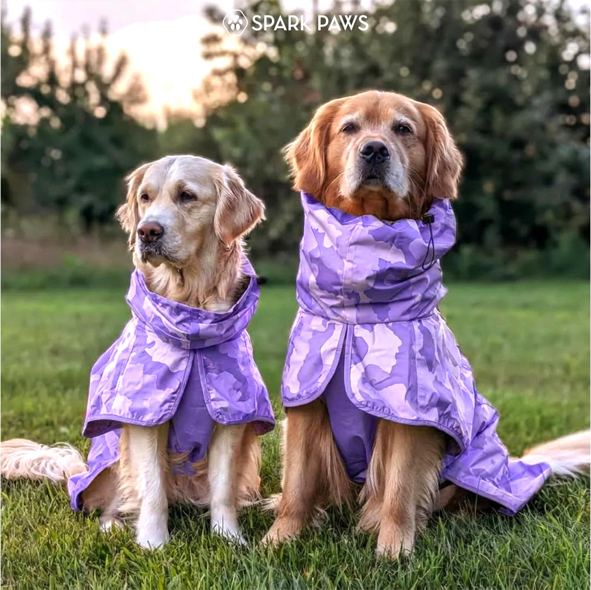 Dog Raincoat Waterproof Rain Jacket w (Camo Purple / 3XL)