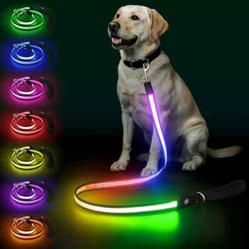 Rechargeable LED Dog Leash (Multi-colored-2)