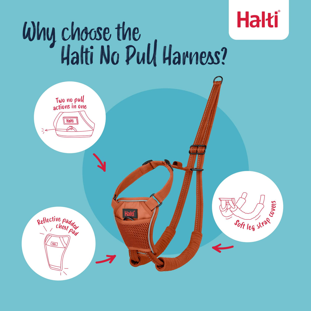 No Pull Dog Harness (Burnt Orange / L)