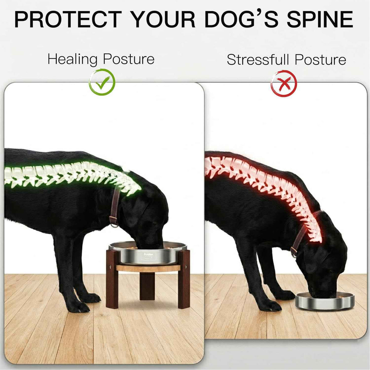 Elevated Dog Bowl Stand (8" Height 4-Cup Slow Feeder)
