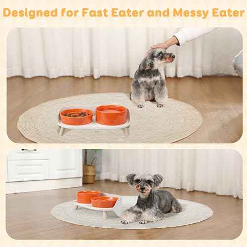 Elevated Slow Feeder Dog Bowls with Splash Proof Stand (Medium / Orange)