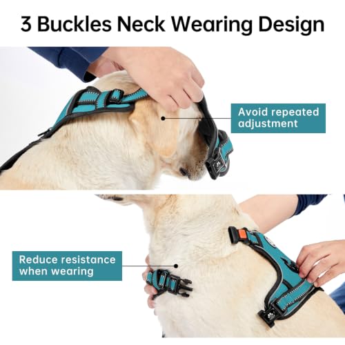 No Pull Dog Harness for Small Dogs (Peacock Blue / Small)
