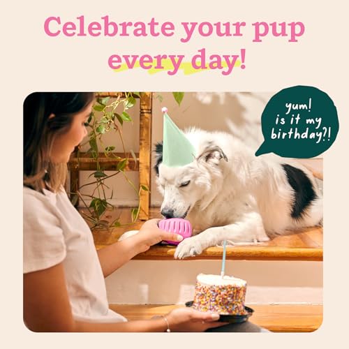 Pupsicle Interactive Dog Ball Toy for Dogs Large 25 (Pink / Large)