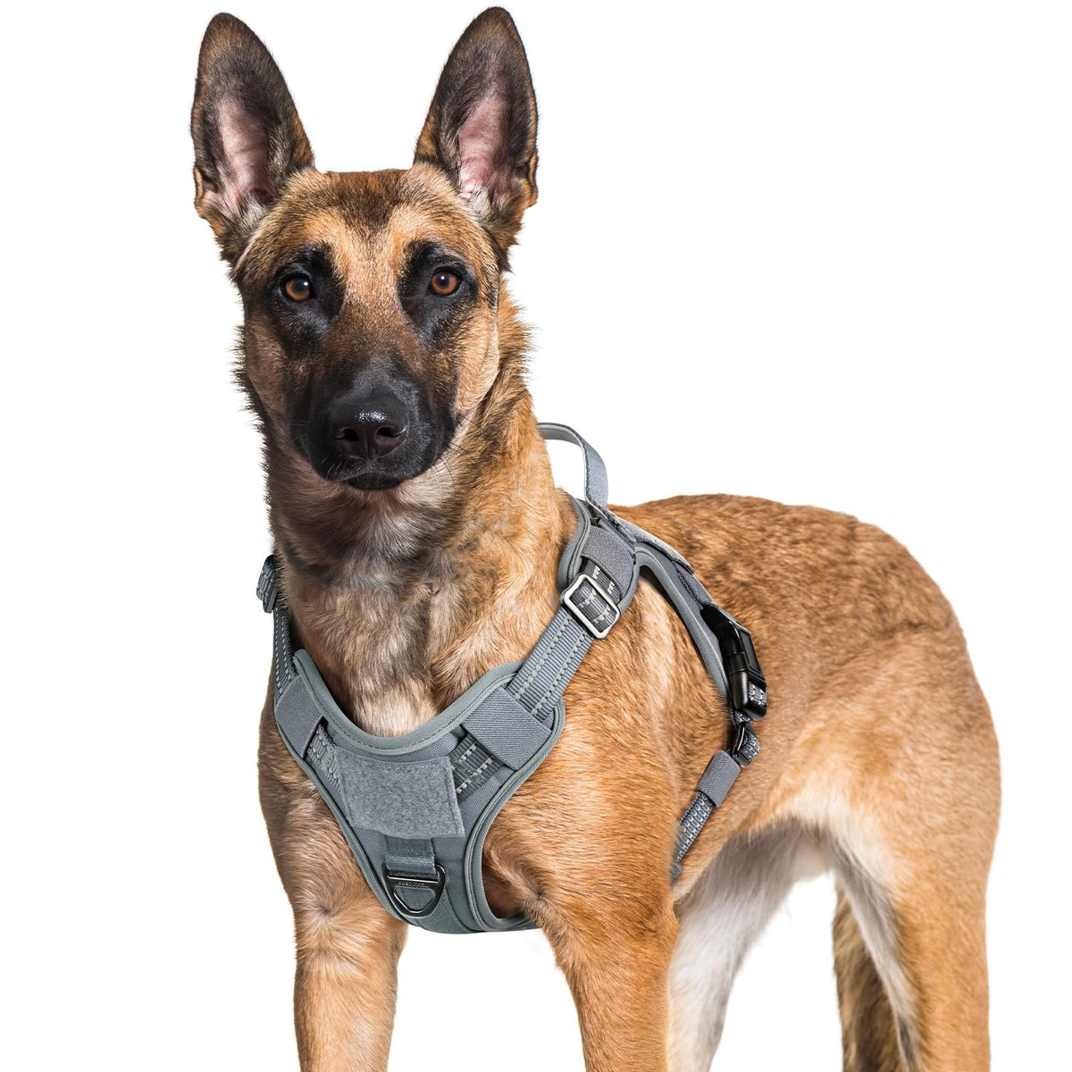 Tactical Dog Harness for Large Dogs (Xl(chest:23.6"-41.8",neck:21.7"-32.3",back:9.1") / Grey)