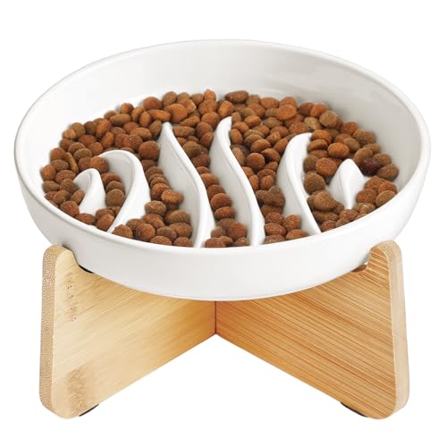 Slow Feeder Cat Bowl Elevated Ceramic with Bamboo Stand (Fishbone)