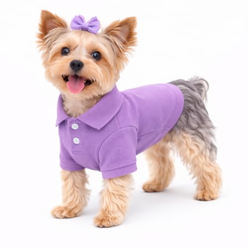 Basic Dog Polo Shirts Premium Cotton (S (-9lbs) / Violet)